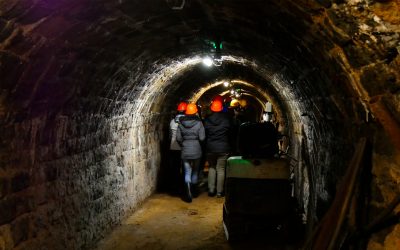 APCI : une mine d’or pour le Pays